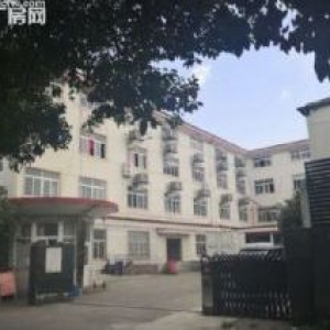 邱隘回龙−5000平−标准厂房&mi