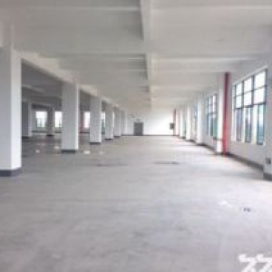 礼嘉桥6500平厂房出租
