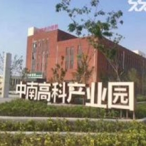 标准独栋厂房出售  可按揭̳