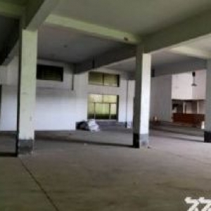 余姚市大隐镇占地2.85亩实用3亩建筑1500平方价格680