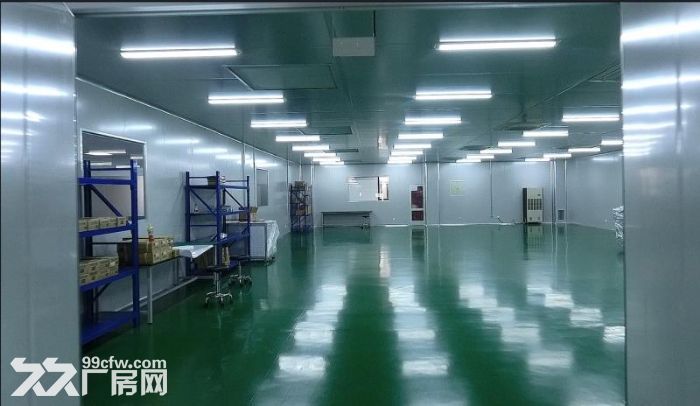 个人出租，高新区梅墟新厂房及办公楼，2500㎡，可分租-图8