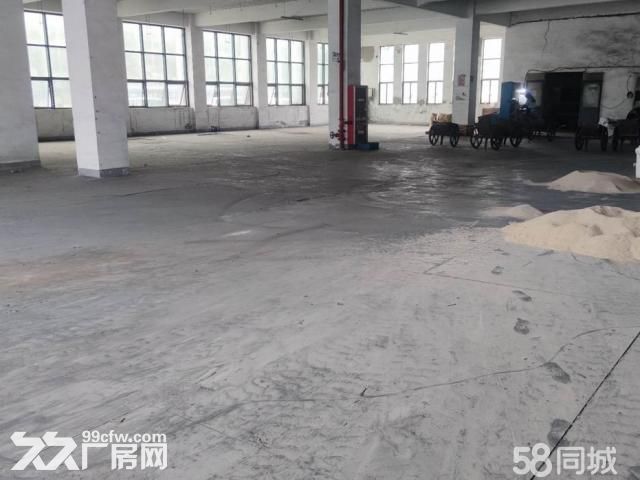 一楼标准厂房620平米层高6.5米