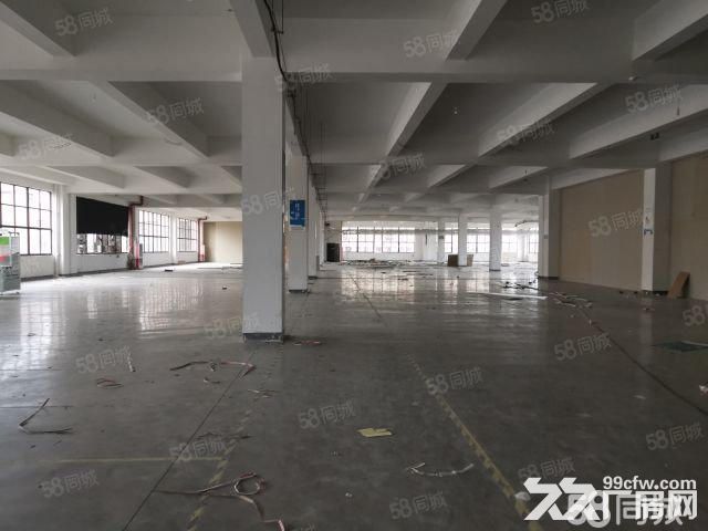 出租一楼标准厂房220平米