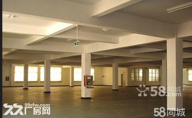 下应框架1楼500平，25元