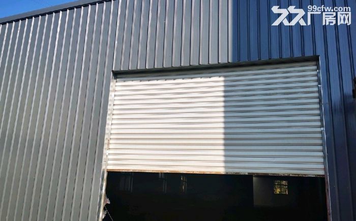 泰山路与沿山公路一楼480平米钢架厂房出租
