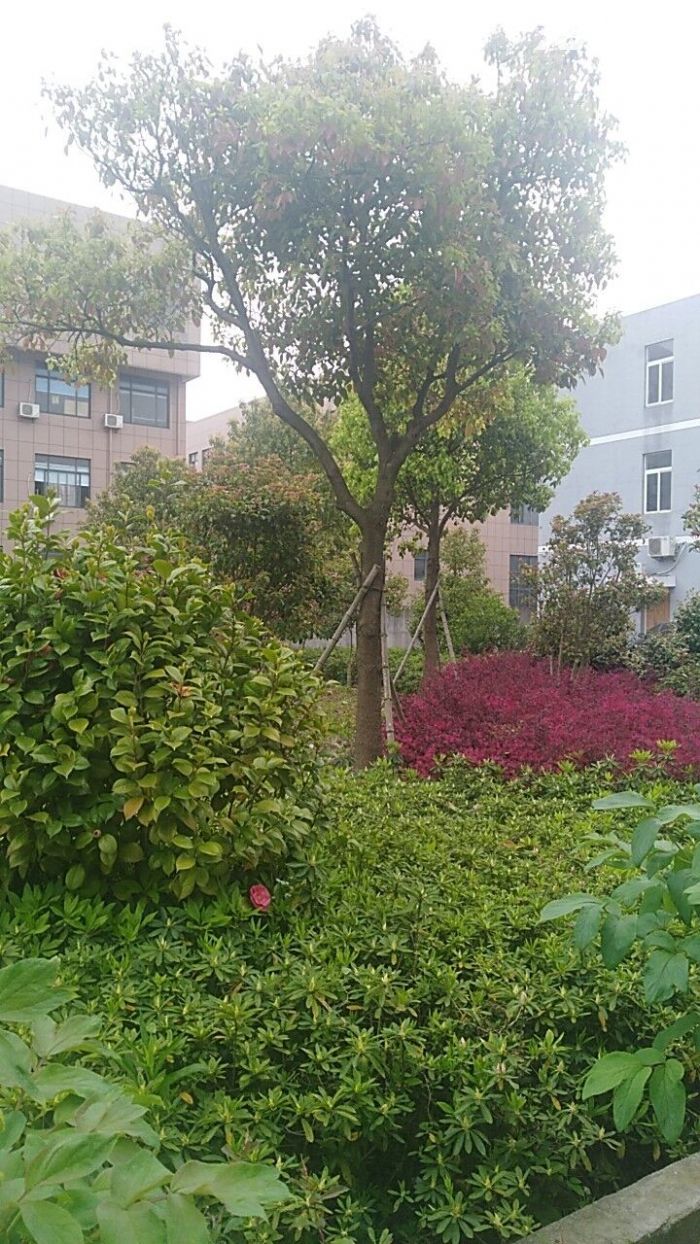 宁波市北仑区春晓厂房-图5