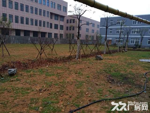 厂房出租一楼带行车710平方二楼1600平方-图3