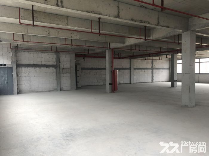 奉化区莼湖滨海工业区全新厂房出租！-图2