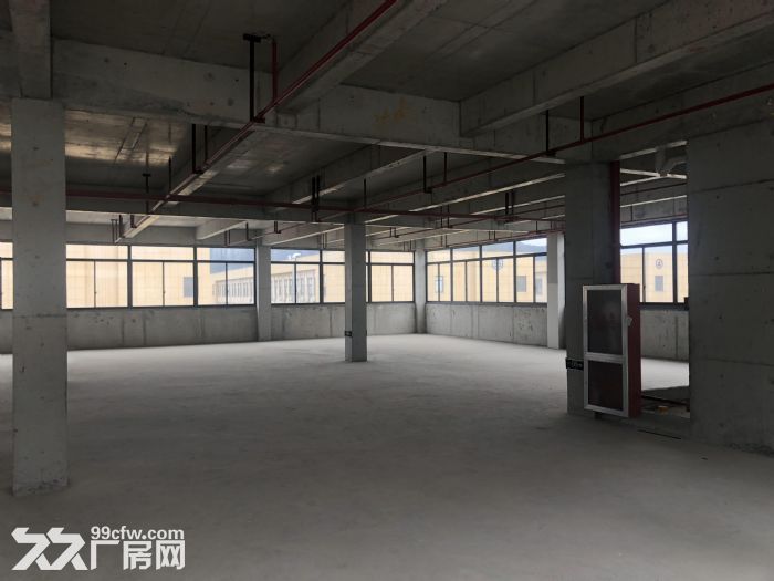 奉化区莼湖滨海工业区全新厂房出租！-图3