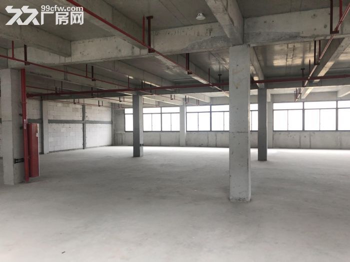 奉化区莼湖滨海工业区全新厂房出租！-图5