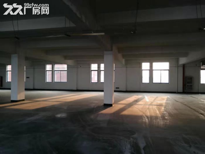 姜山15000平标准厂房出租。另带7000平宿舍楼，看房联系