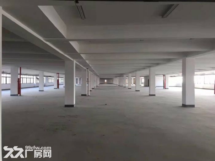 全新13万方厂房，市区交通便利，4.5~8米层高多面积厂房，有电水污水排污系统-图6