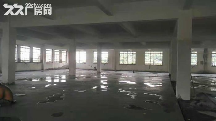 余姚城东开发区厂房出租