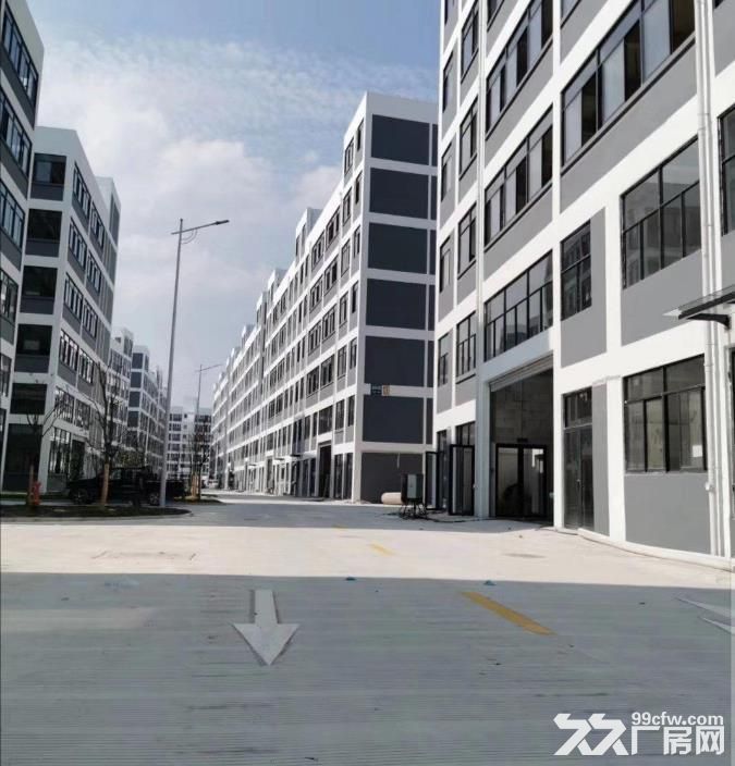 西坞2万平标准厂房出租最低13元/平